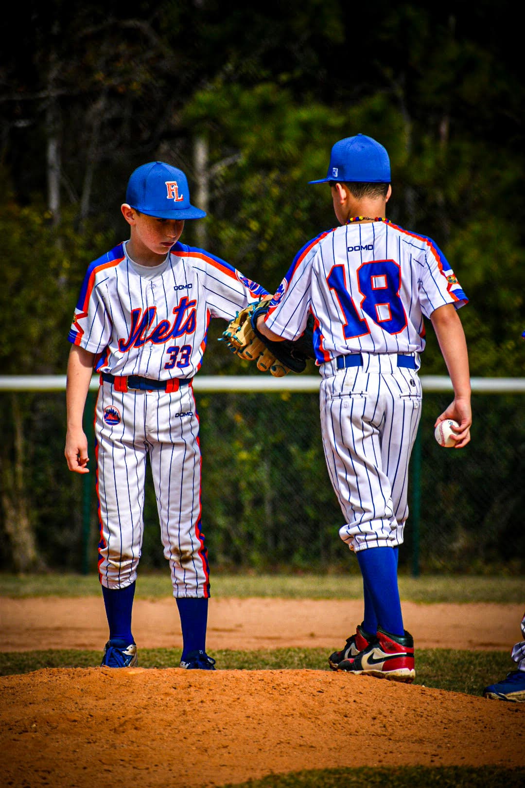 flmets3