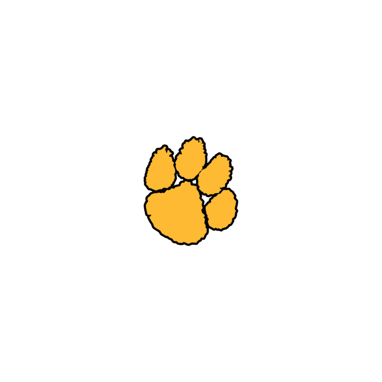 Valdosta Wildcats